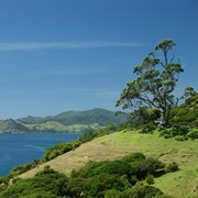 Port Charles, New Zealand