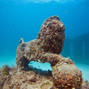 Neptune Memorial Reef
