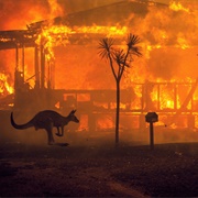 2019–20 Australian Bushfires