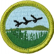 Fish & Wildlife Management