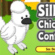 Silkie Chicken