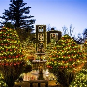 Christmas in Georgia