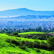 Wildcat Canyon Regional Park