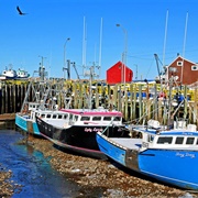 Hall's Harbour, NS