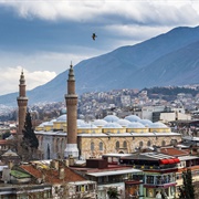 Bursa