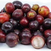 Jabuticaba Fruit/Berry