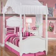 Canopy for Twin Bed Girls