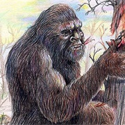 Yowie (Australia)