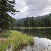 Horseshoe Lake Trail, Denali National Park