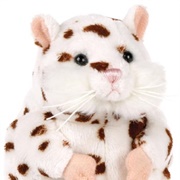 Mazin' Hamster Cookie