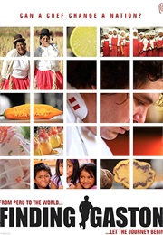 Buscando a Gastón (2014)