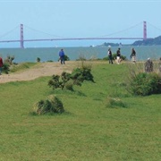 Point Isabel Regional Shoreline