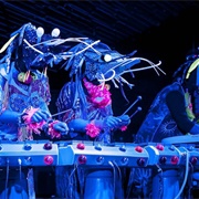 Autopsy Report of Drowned Shrimp