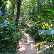 Carambola Botanical Gardens, Roatan, Honduras