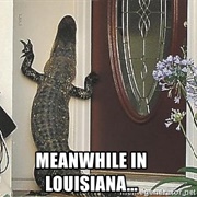 Louisiana
