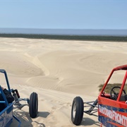 Hornibrook Shore, Oregon