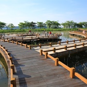 Gyeongpo Lake