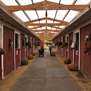 Stable