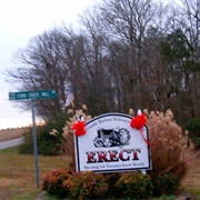 Erect, North Carolina