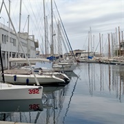 Triestina Della Vela