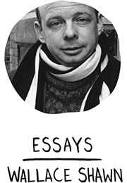 Essays (Wallace Shawn)