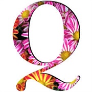 Q