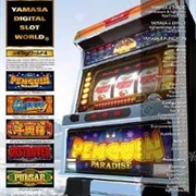 Yamasa Digi World 4