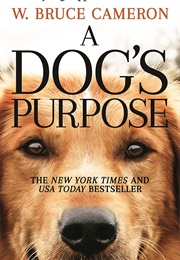 A Dog's Purpose