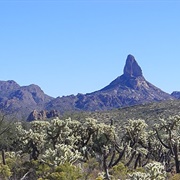 Lost Dutchman's Gold Mine