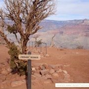 Cedar Ridge, Arizona