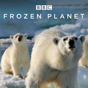 Frozen Planet - Season 1