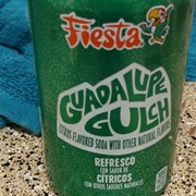 Fiesta Guadalupe Gulch