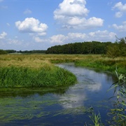 Dommel