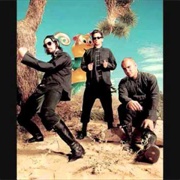 Del Davis Tree Farm - Primus