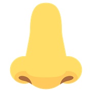 Nose