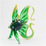 Glass Fish