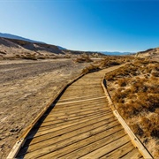 Salt Creek Interpretive Trail