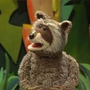 Rhonda the Raccoon