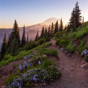 Pacific Crest Trail