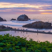 Seal Rocks, San Francisco, California