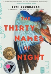 The Thirty Names of Night (Zeyn Joukhadar)