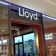Lloyd Coffee Eatery Westland