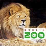 Dublin Zoo, Ireland