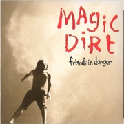 Friends in Danger - Magic Dirt