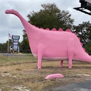 Spring Hill, Florida