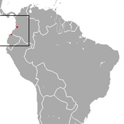 Ecuadorian Sac-Winged Bat