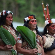 Central American Natives