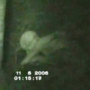 Possible Fallen Angel in Catalonia