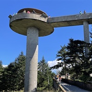 Clingmans Dome