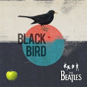 &#39;Blackbird&#39; - The Beatles
